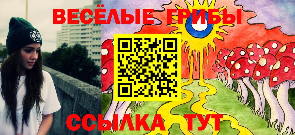Псилоцибиновые грибы Magic Shrooms Карталы