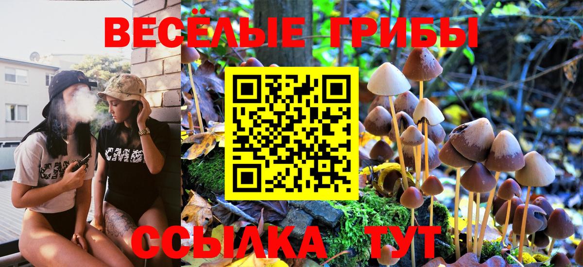 Карталы  Псилоцибиновые грибы Cubensis  Вход с VPN 